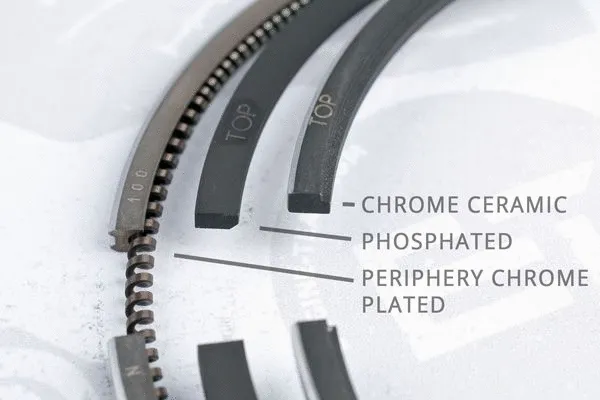 Piston Ring Kit (R1009700)