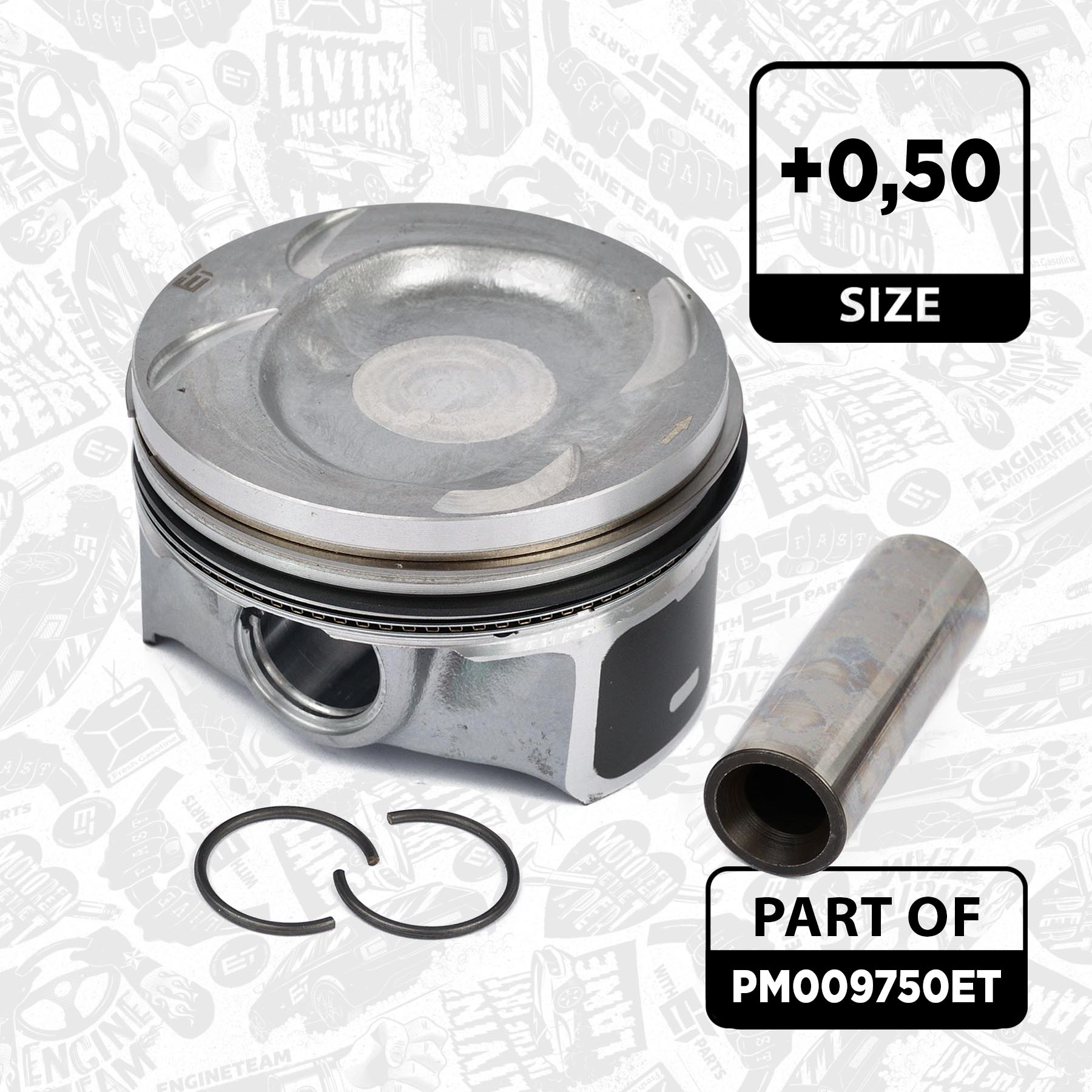 Piston Set