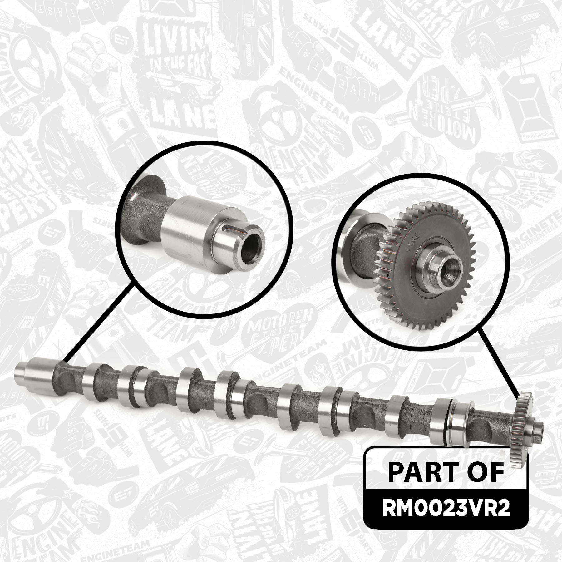 Water Pump & Timing Belt Kit (RM0023VR2)