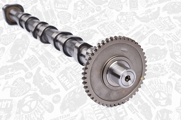 Camshaft