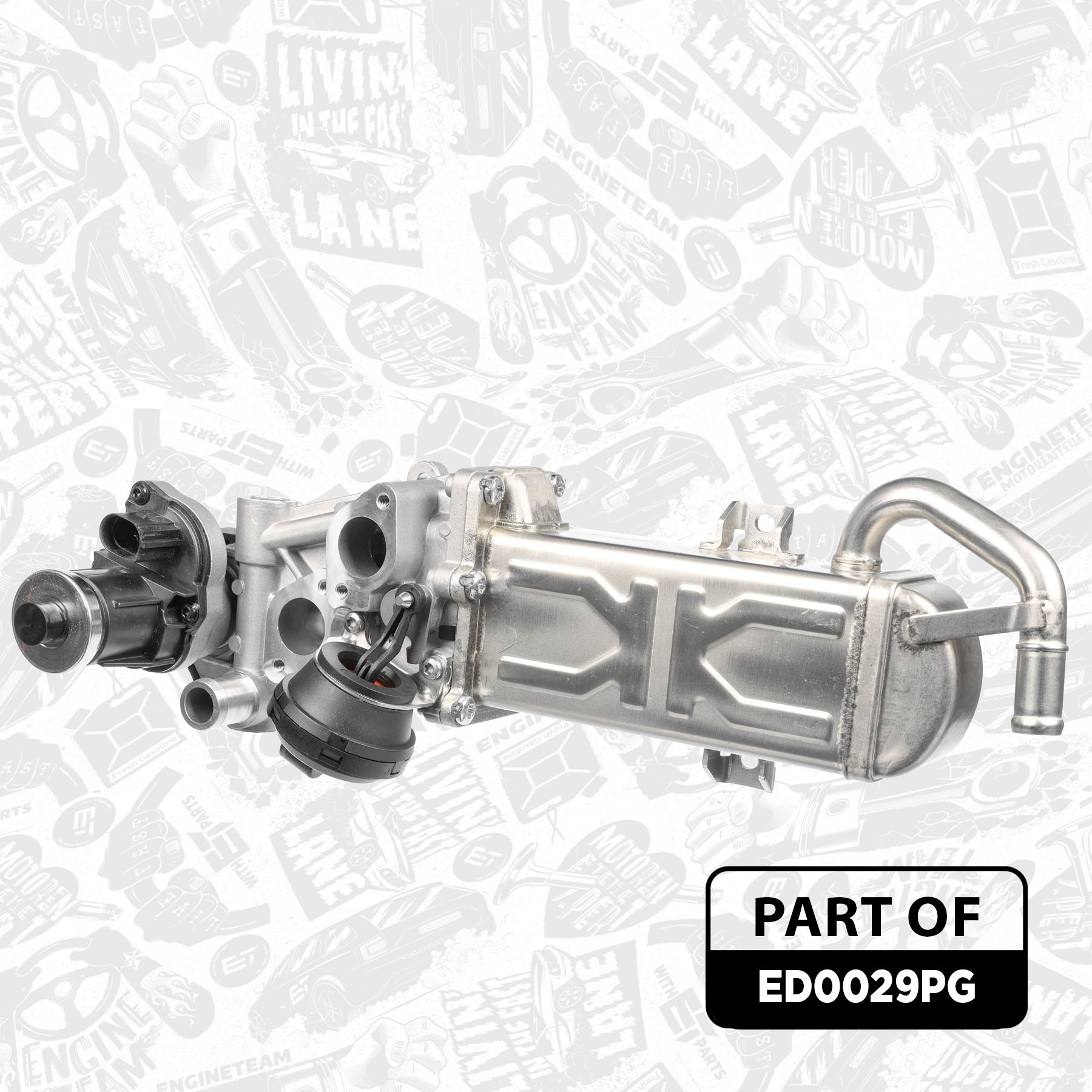 EGR Valve