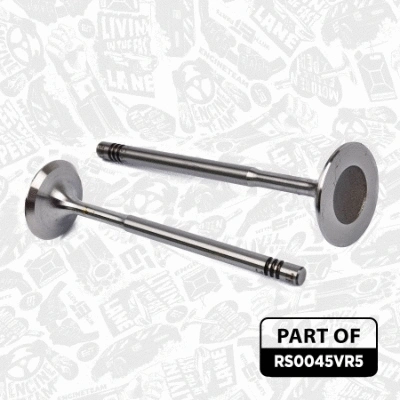 Timing Chain Kit