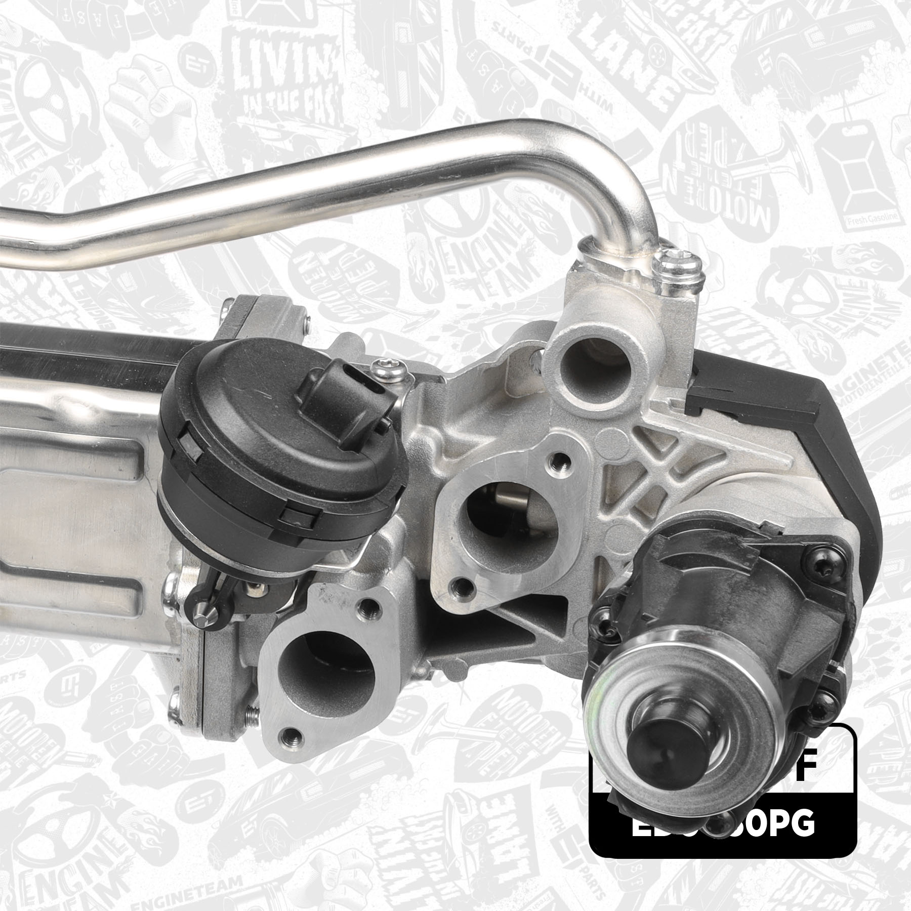 EGR Valve