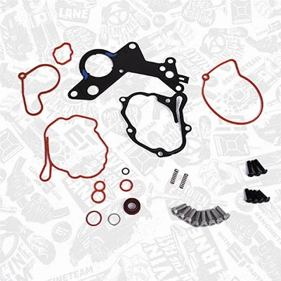 Repair Set, vacuum pump (braking system)