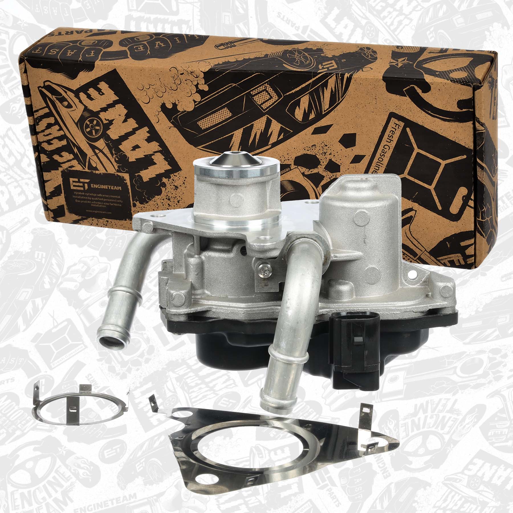 EGR Valve
