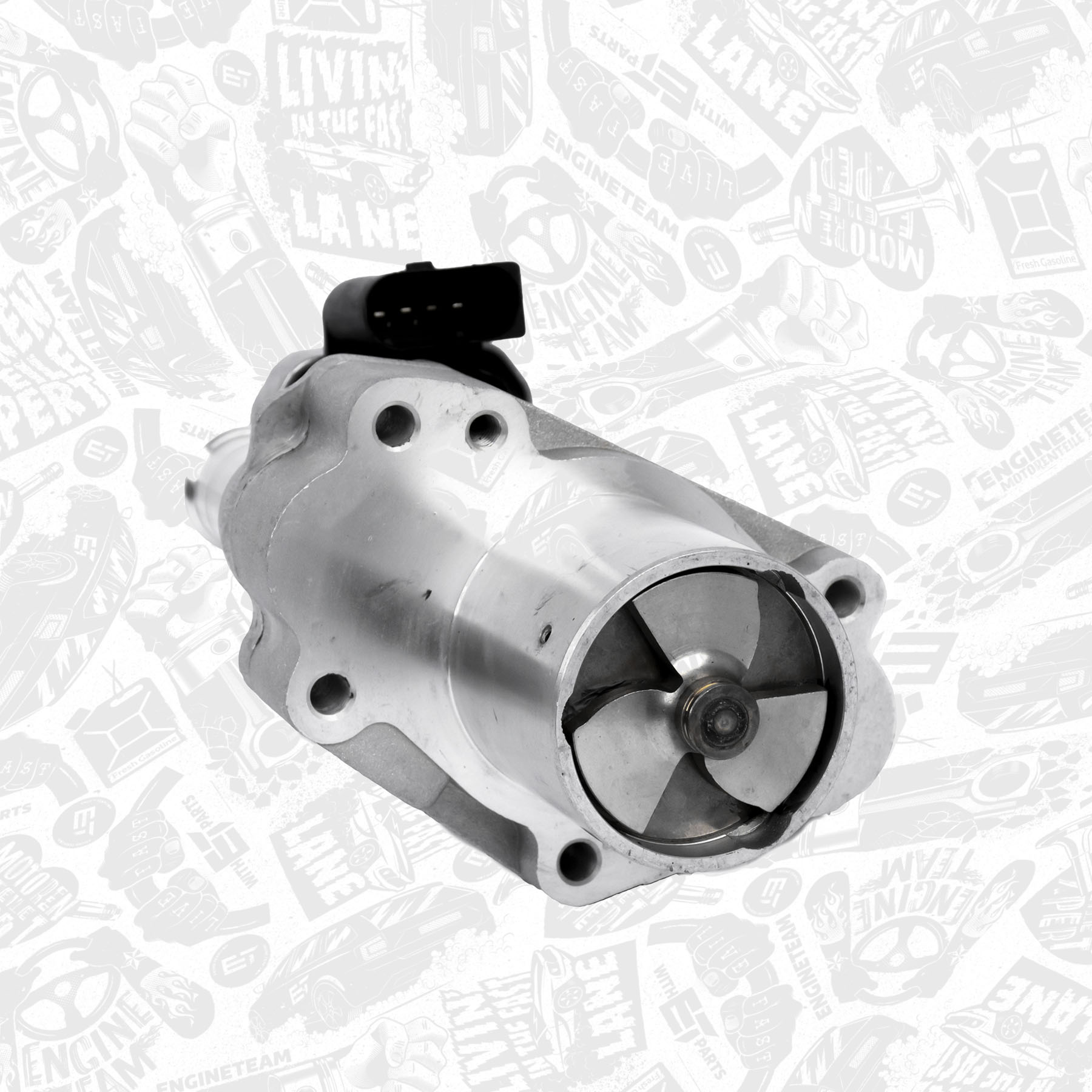 EGR Valve