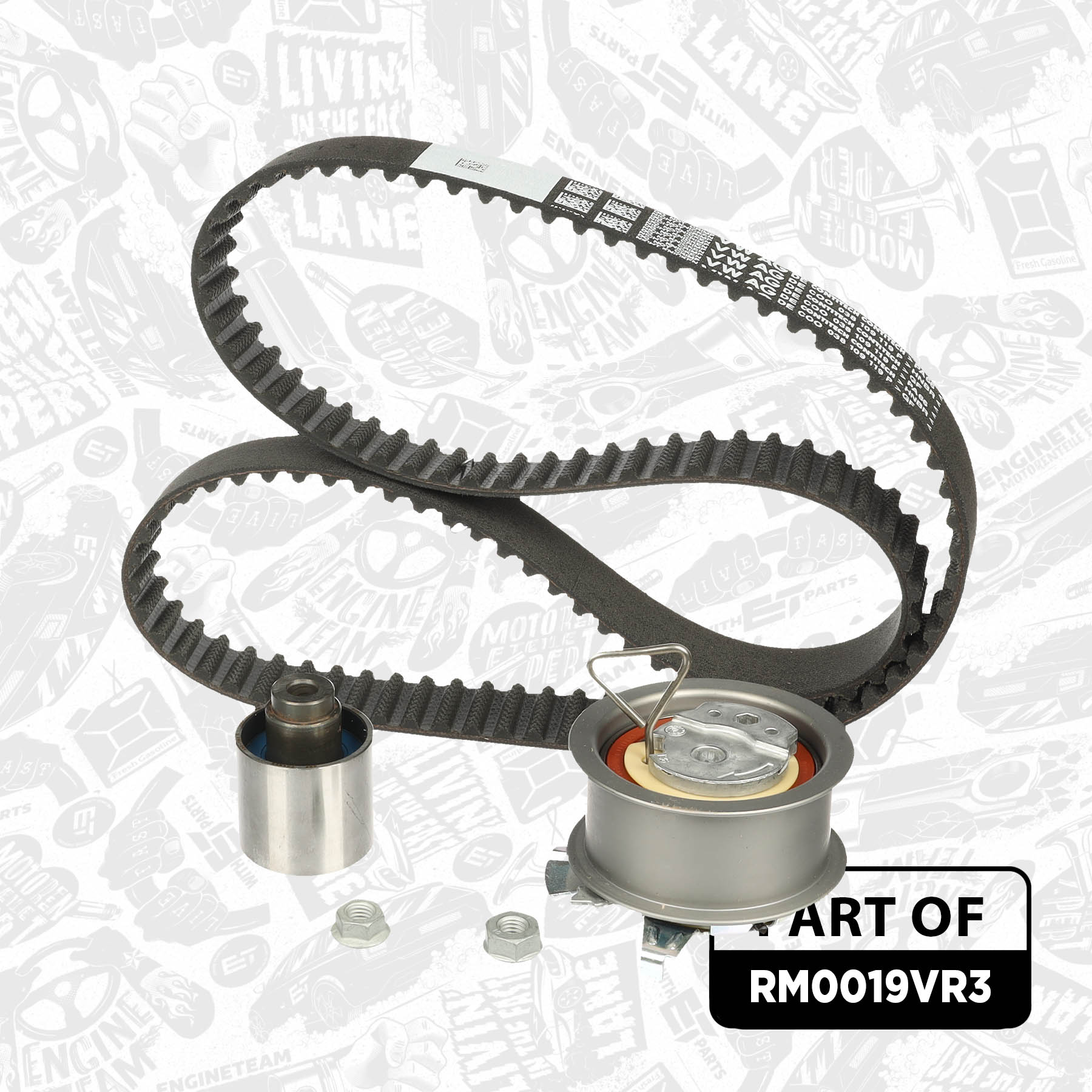 Timing Belt Kit