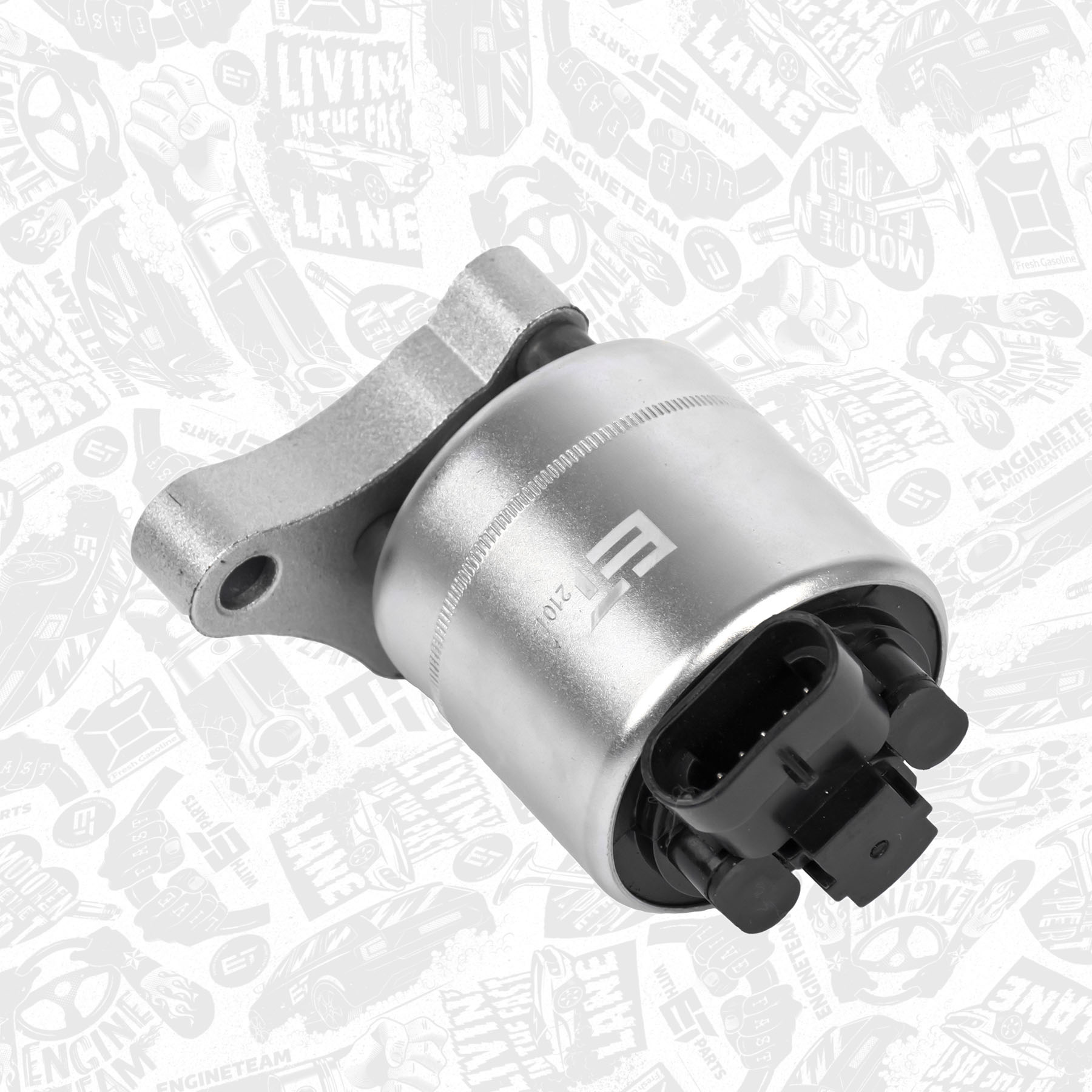 EGR Valve