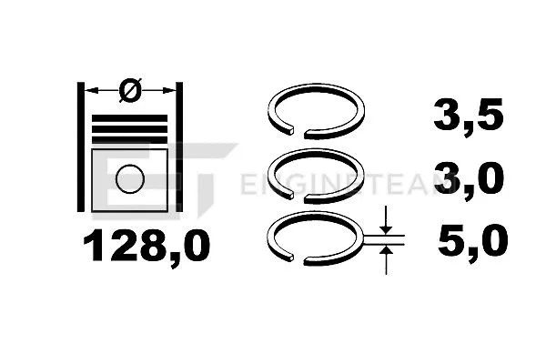 Piston Ring Kit (R1002800)