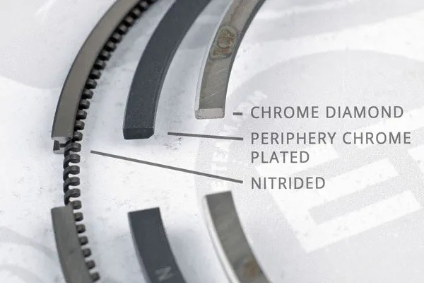 Piston Ring Kit (R1009100)