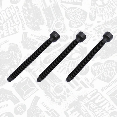 Adjustment Screw, injector pump (BS0007)