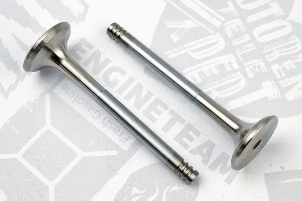 Exhaust Valve