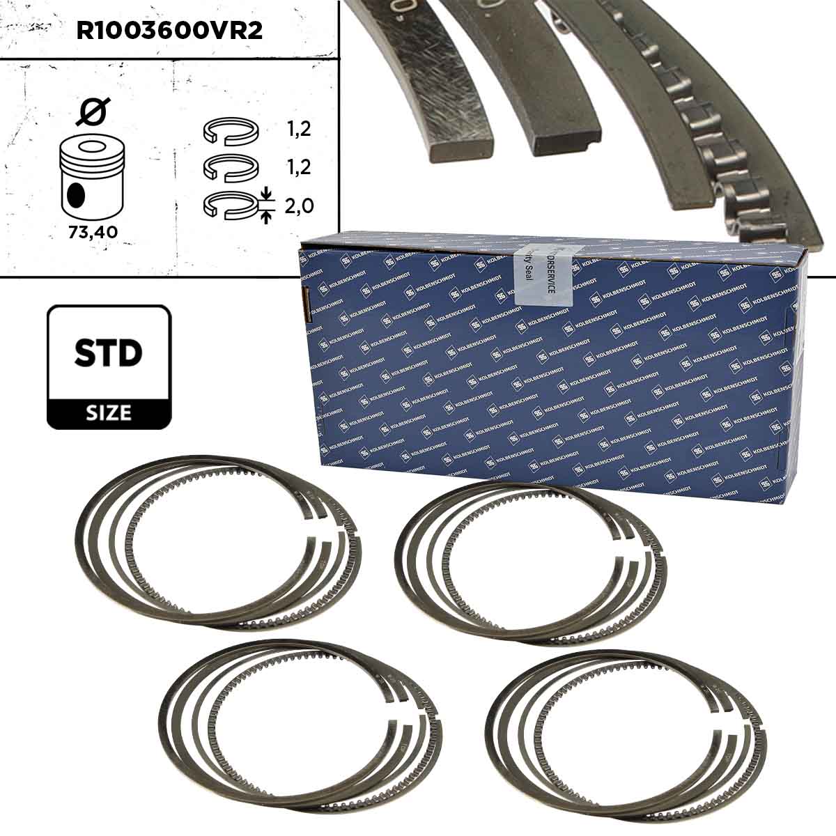 Piston Ring Kit (R1003600VR2)