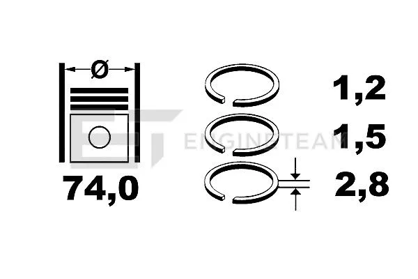 Piston Ring Kit (R1005900)