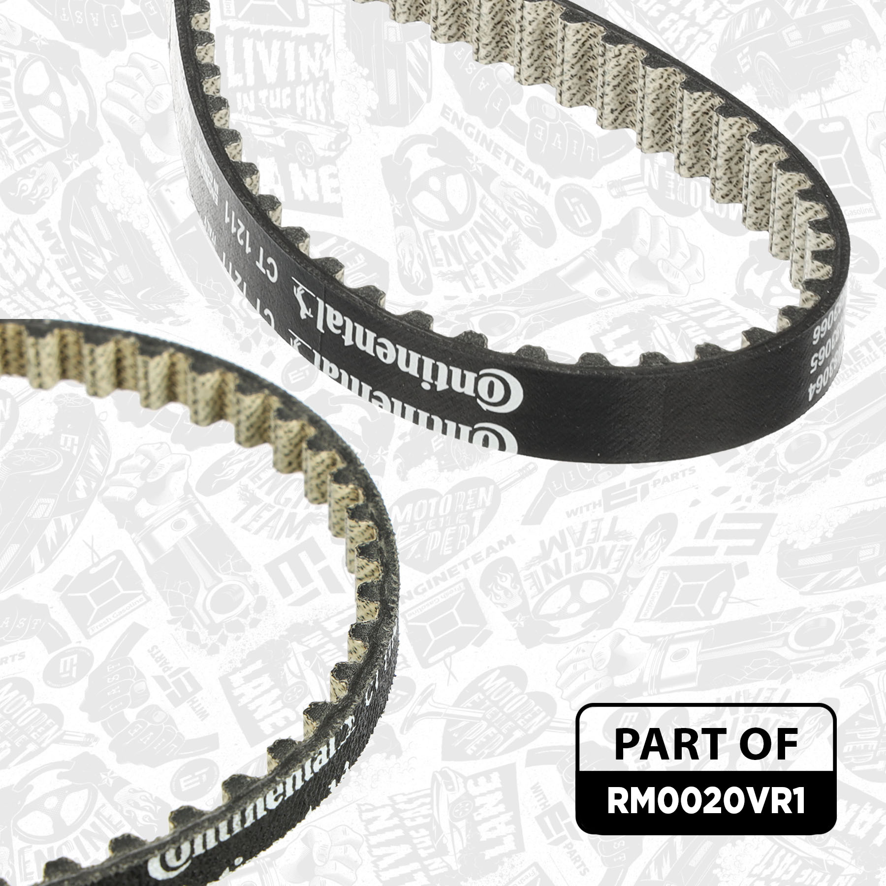 Timing Belt Kit