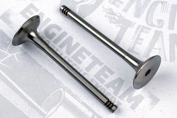 Intake Valve