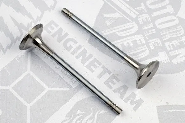 Exhaust Valve