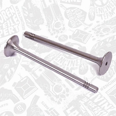 Exhaust Valve
