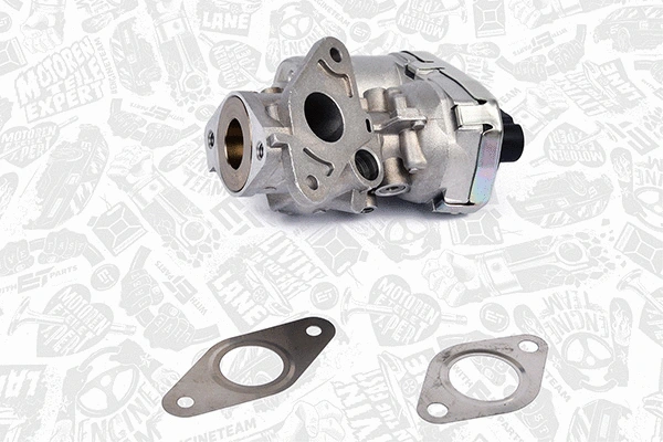 EGR Valve