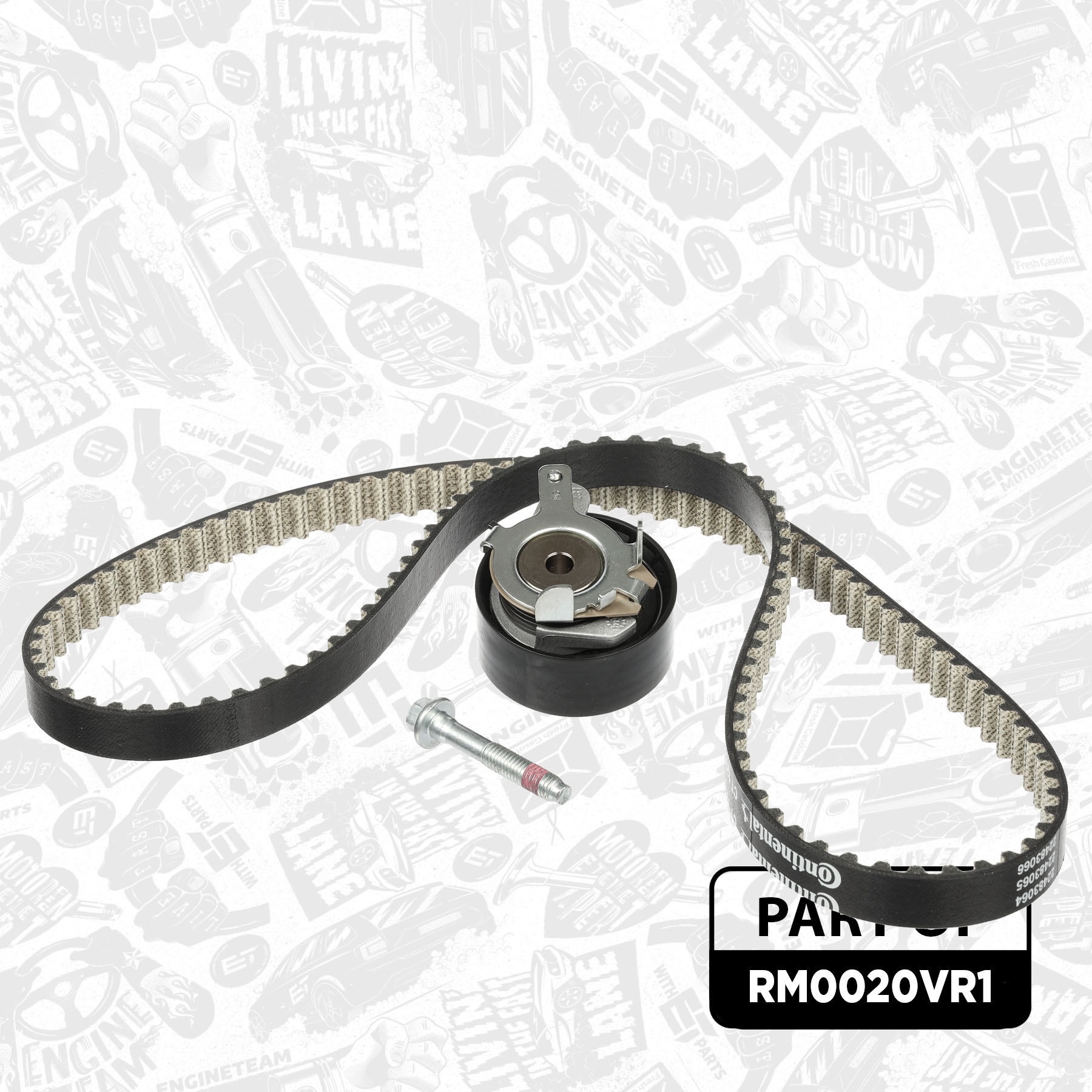 Timing Belt Kit