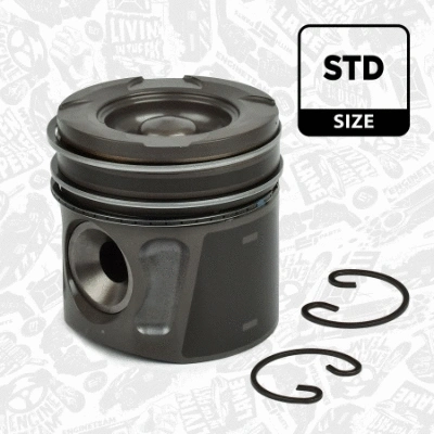 Piston (PM002500)
