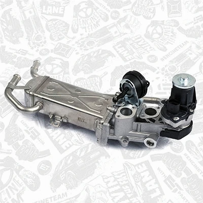 EGR Valve