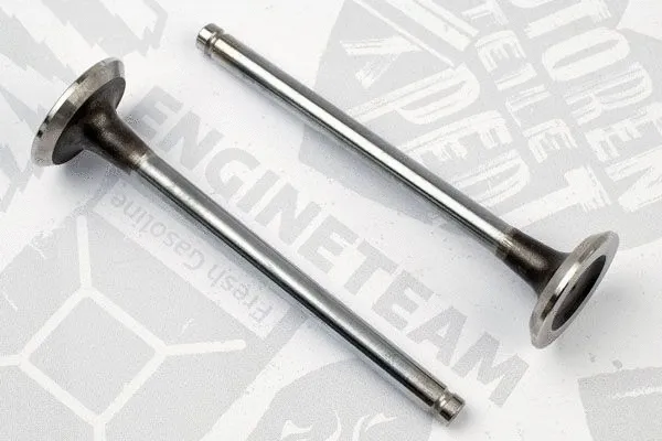 Exhaust Valve