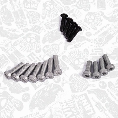 Repair Set, vacuum pump (braking system)