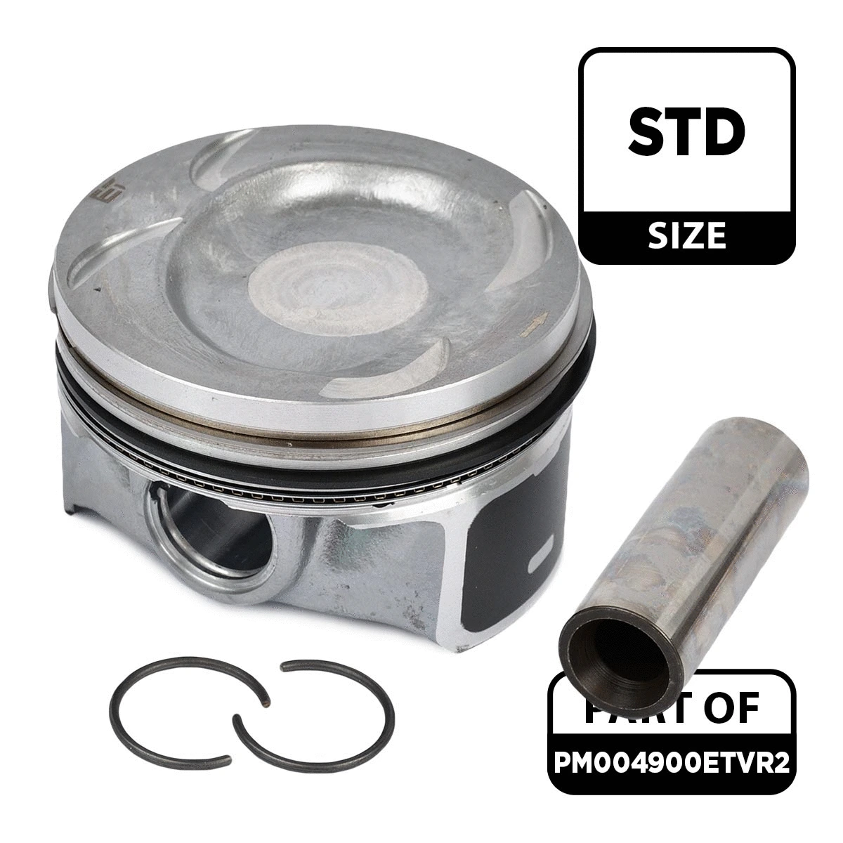 Piston Set (PM004900ETVR2)