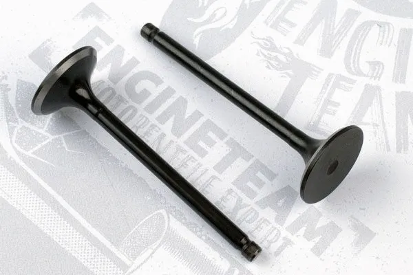 Intake Valve