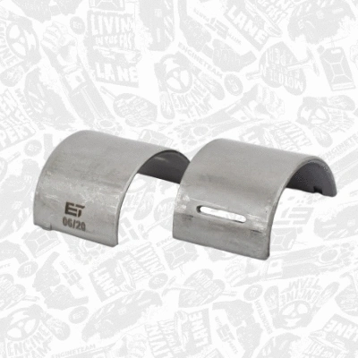 Camshaft Bearing