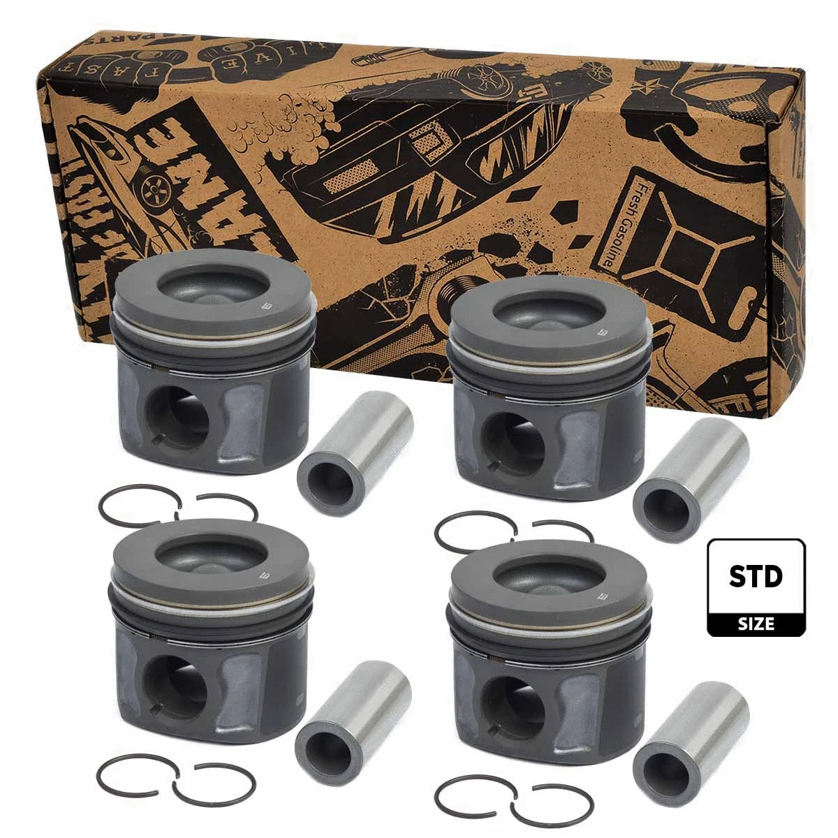 Piston Set (PM004700VR1)