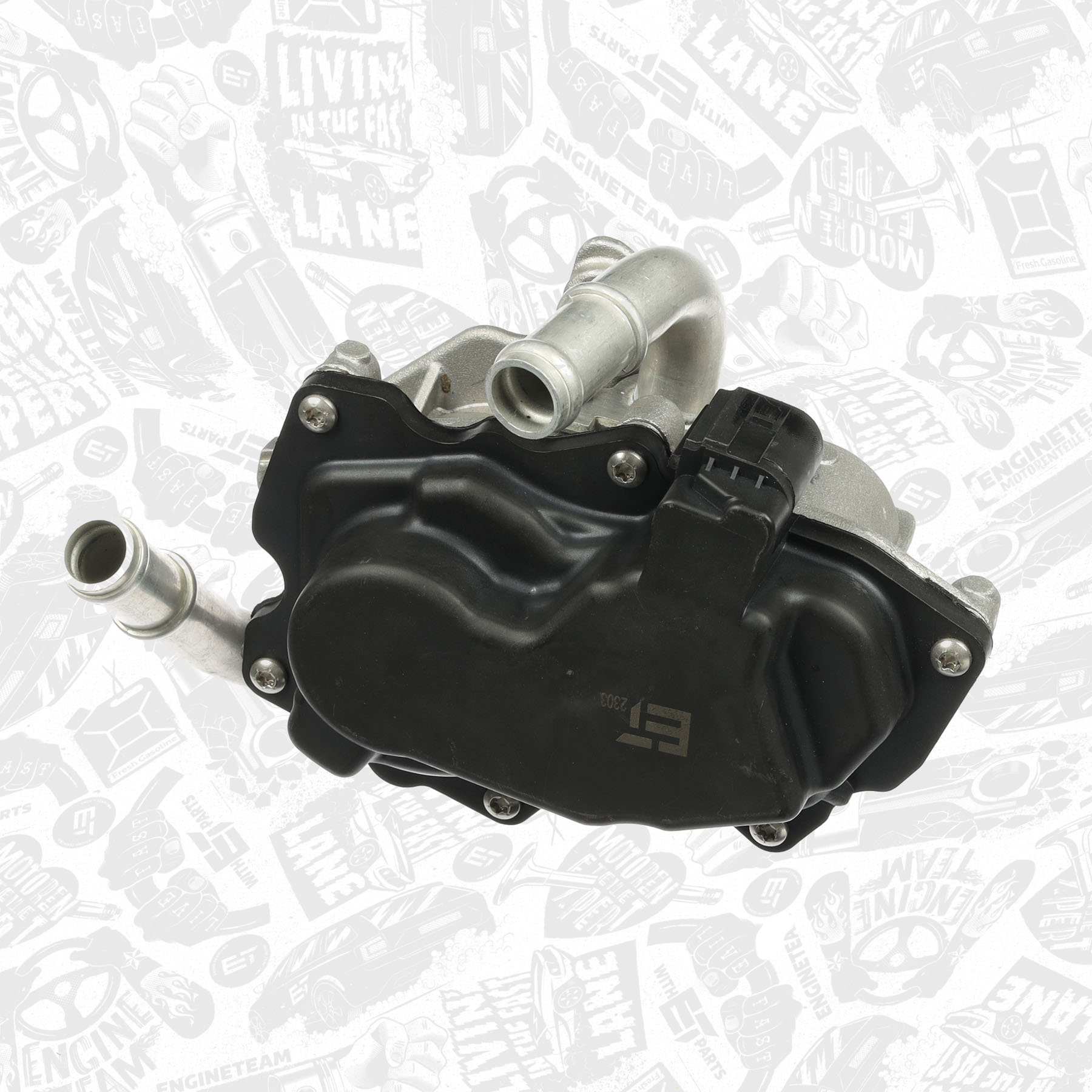 EGR Valve