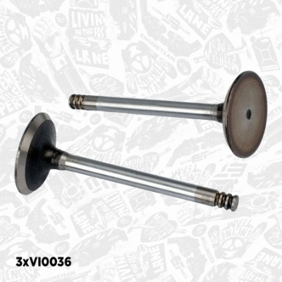 Valve Kit, intake/exhaust valve