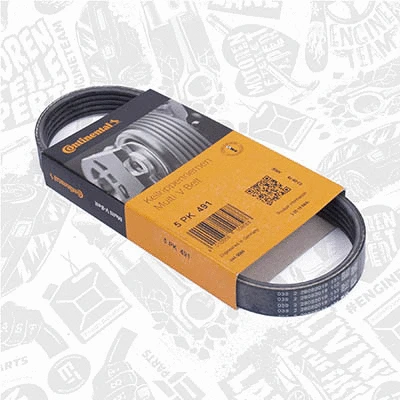 Water Pump + V-Ribbed Belt Kit