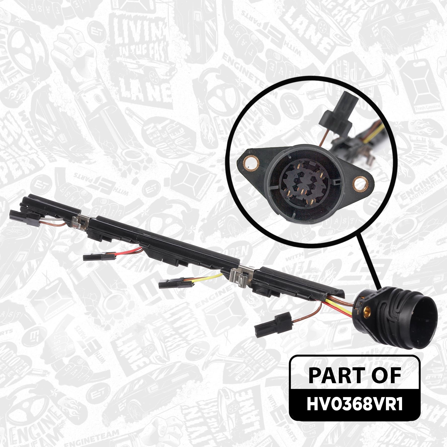 Camshaft Kit