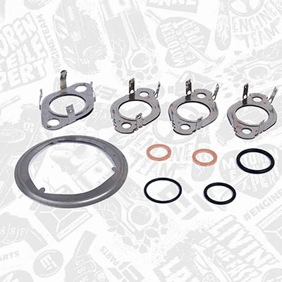 Gasket Set, EGR system (TM0010)