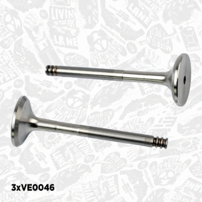 Valve Kit, intake/exhaust valve