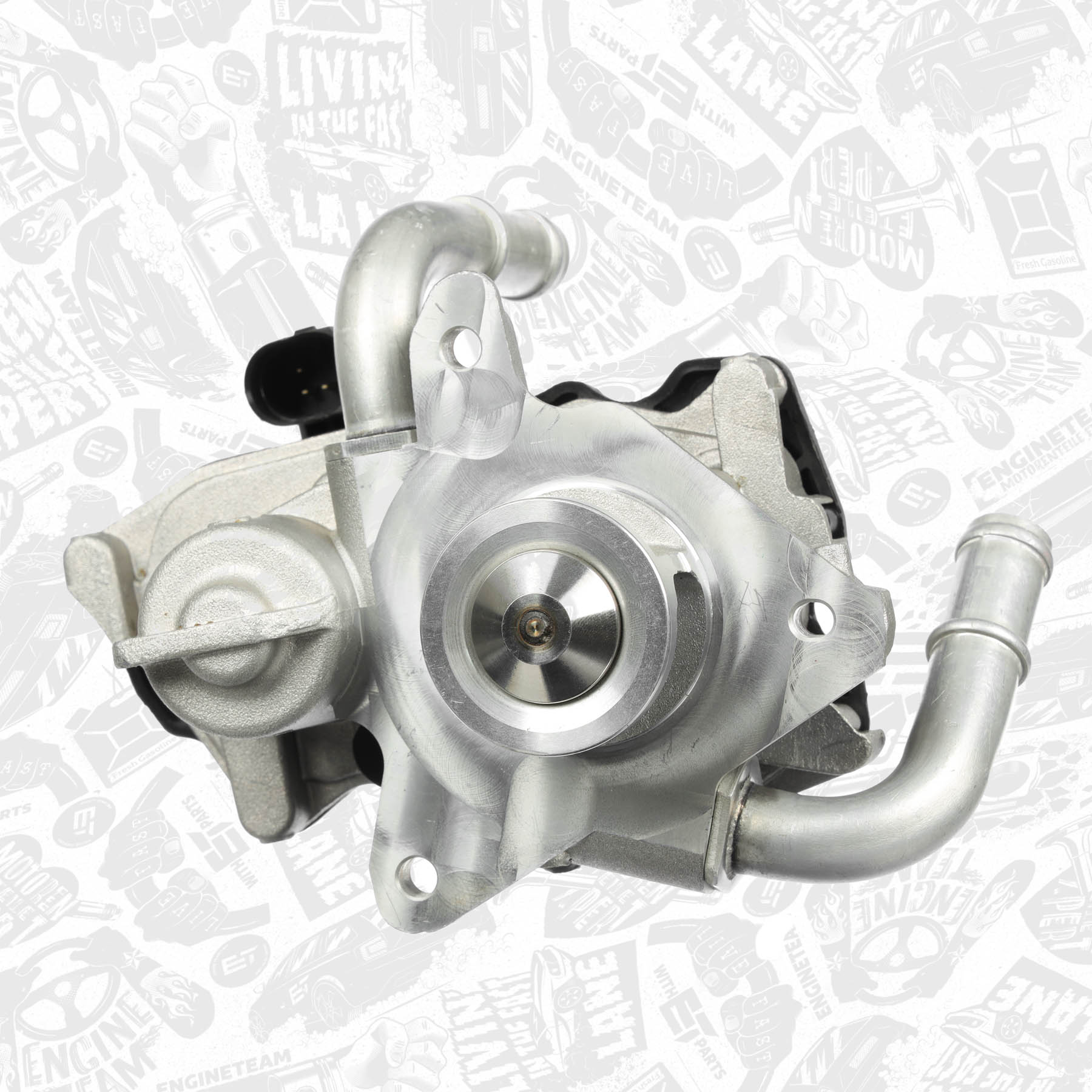 EGR Valve
