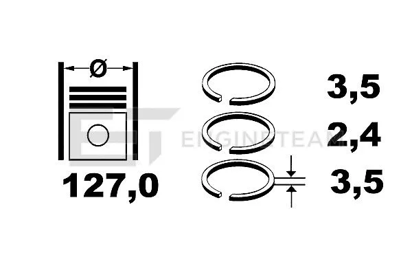 Piston Ring Kit (R1004600)