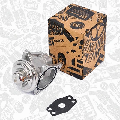 EGR Valve