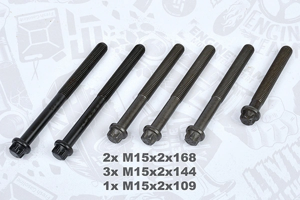 Cylinder Head Bolt Set (BS0017)