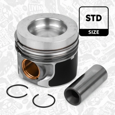 Piston (PM012200)