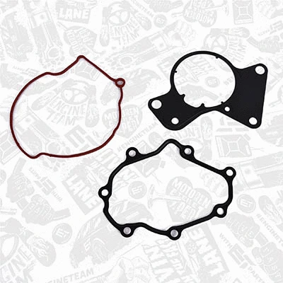 Repair Set, vacuum pump (braking system) (TM0024)