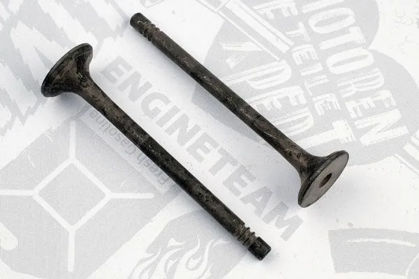 Exhaust Valve