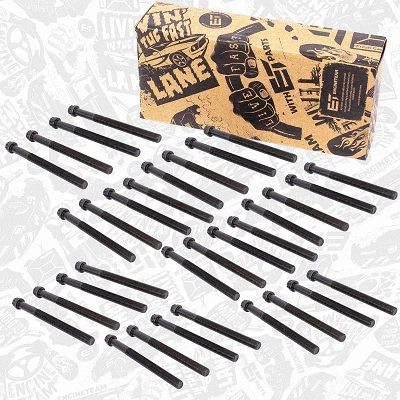 Cylinder Head Bolt Set (BS0033)