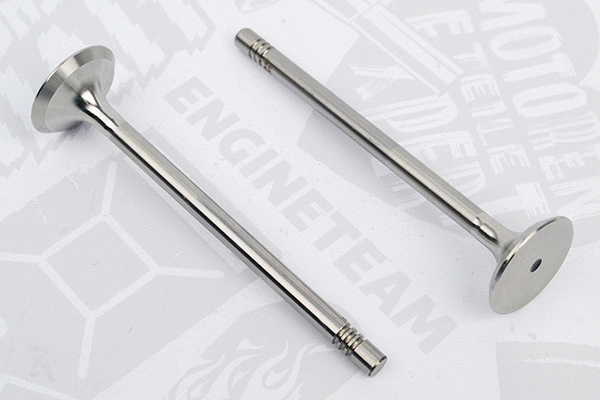Exhaust Valve (VE0165)