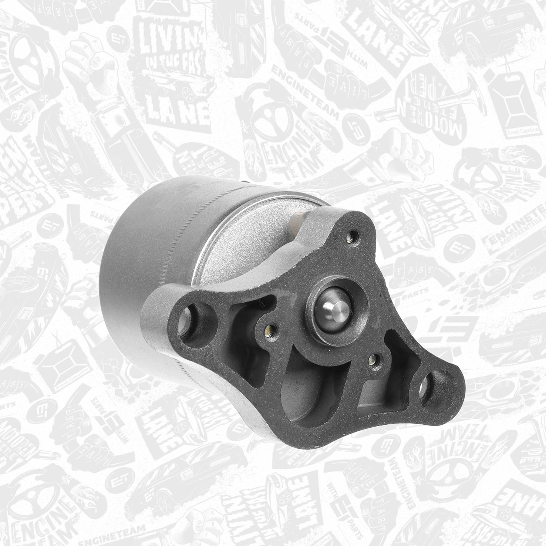 EGR Valve