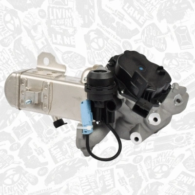 EGR Valve