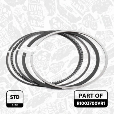 Piston Ring Kit